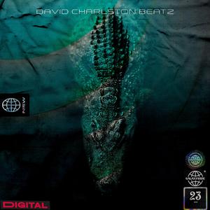 Krokodile (Underground Rap Type Street Beat)