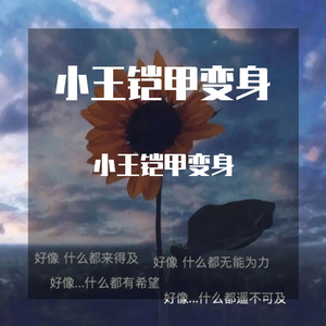 小星星