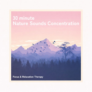 眠りの浅い貴方のための快眠音楽 1分で眠れるヒーリングギター (自律神経を整える睡眠用 森 鳥)