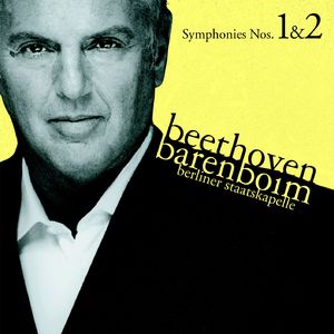 Symphony No. 2 in D Major, Op. 36: II. Larghetto