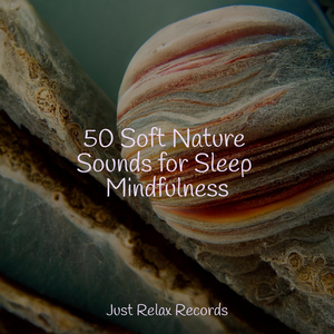 Fading Fall Fantasia