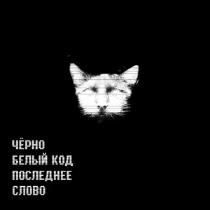 Чёрно-белый код