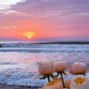 原来你也在这里