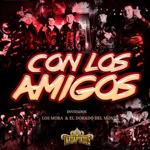 Gama (En Vivo)