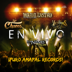 Quiéreme Como Te Quiero (En Vivo)