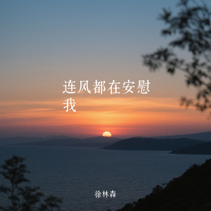 连风都在安慰我