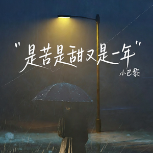是苦是甜又是一年 (Cover)(1)