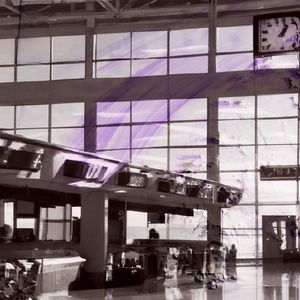 Roots Entwined in Enriched Soil