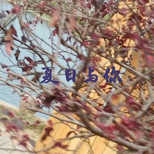 夏日与你
