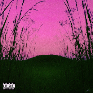 still big on mushrooms