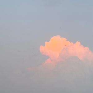 I don't think I can!