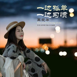 一边孤单一边习惯 (DJ伟然版)