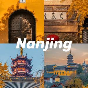 梧桐树下 凌波边