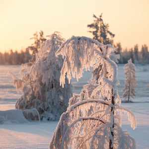 Want to Enjoy Your Body