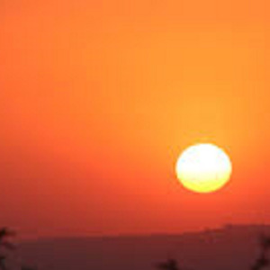 the patience (Remastered 2025)