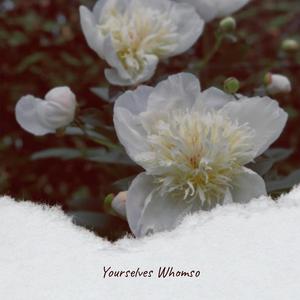 Physiologically Unfaithful