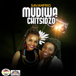 Mudiwa Chitsidzo