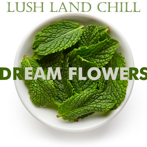 Stargate (Aqua Regina Mix)