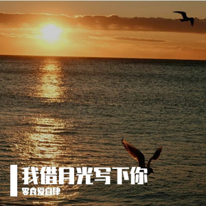 我借月光写下你