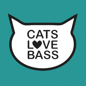 Without You (Playane Remix)