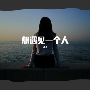 想遇见一个人