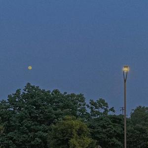 Shiloh Dynasty-WAITING（Ekko remix）