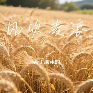 风吹麦浪 (Cover 李健)