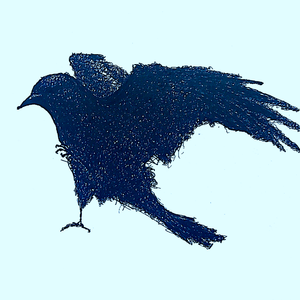 黑鸟（Acoustic live Ver.）