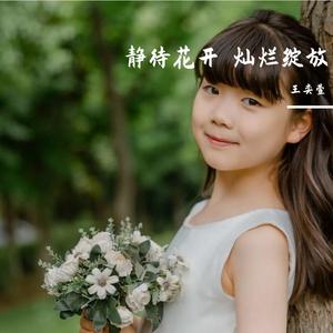 每朵花都会盛开