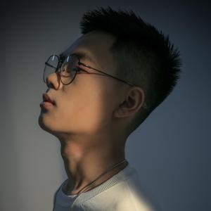 刘大壮-假装dj版（OIDice remix）