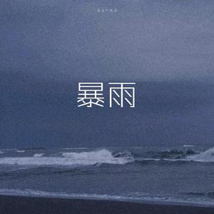 Lil Jet-暴雨（Savitar李海跃 / EGO好生说 remix）