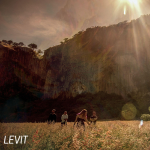 Levit