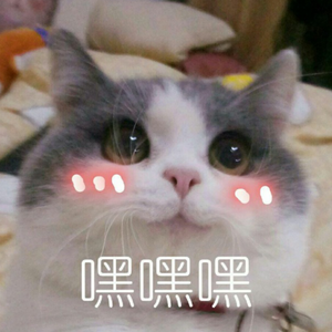 杨花落尽子规啼