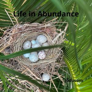 Life in Abundance