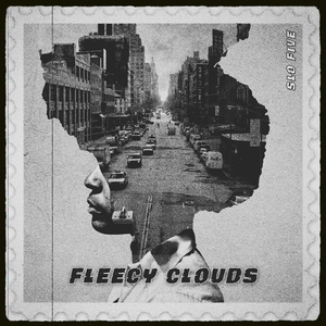 Fleecy Clouds