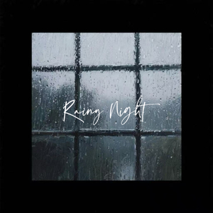 Rainy Night