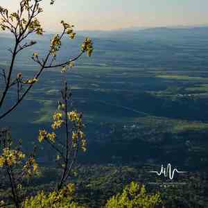 逢故人 (陶笛养生)