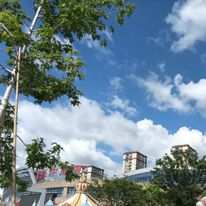 请让我还有憧憬啊