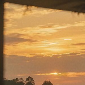 风景（大鱼纯音乐）