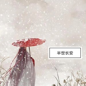 半世长安