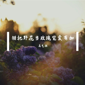 错把野花当玫瑰宠爱有加