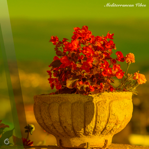 In Certain Passages (Original Mix)