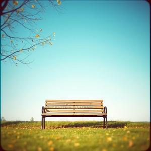 잠시 머물게 되는 봄