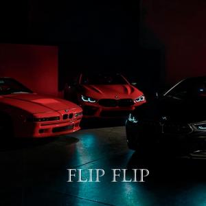 Flip Flip