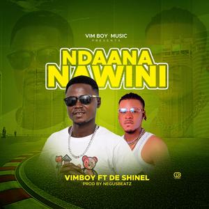 Ndaana Nawini