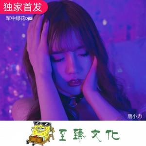 世上只有妈妈好 (Dj弹鼓版)