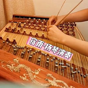 扬琴版最炫名族风 （叶上清之宿雨 remix）