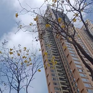 今年元宵我们在一起了