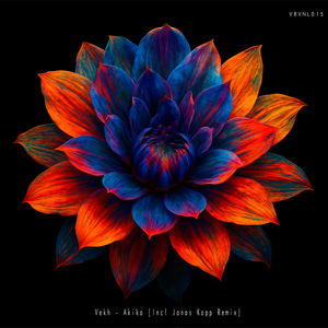 Akiko (Jonas Kopp Remix)
