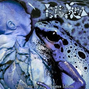 Wakea madinika Vyhasnuta (Idiots Parade)